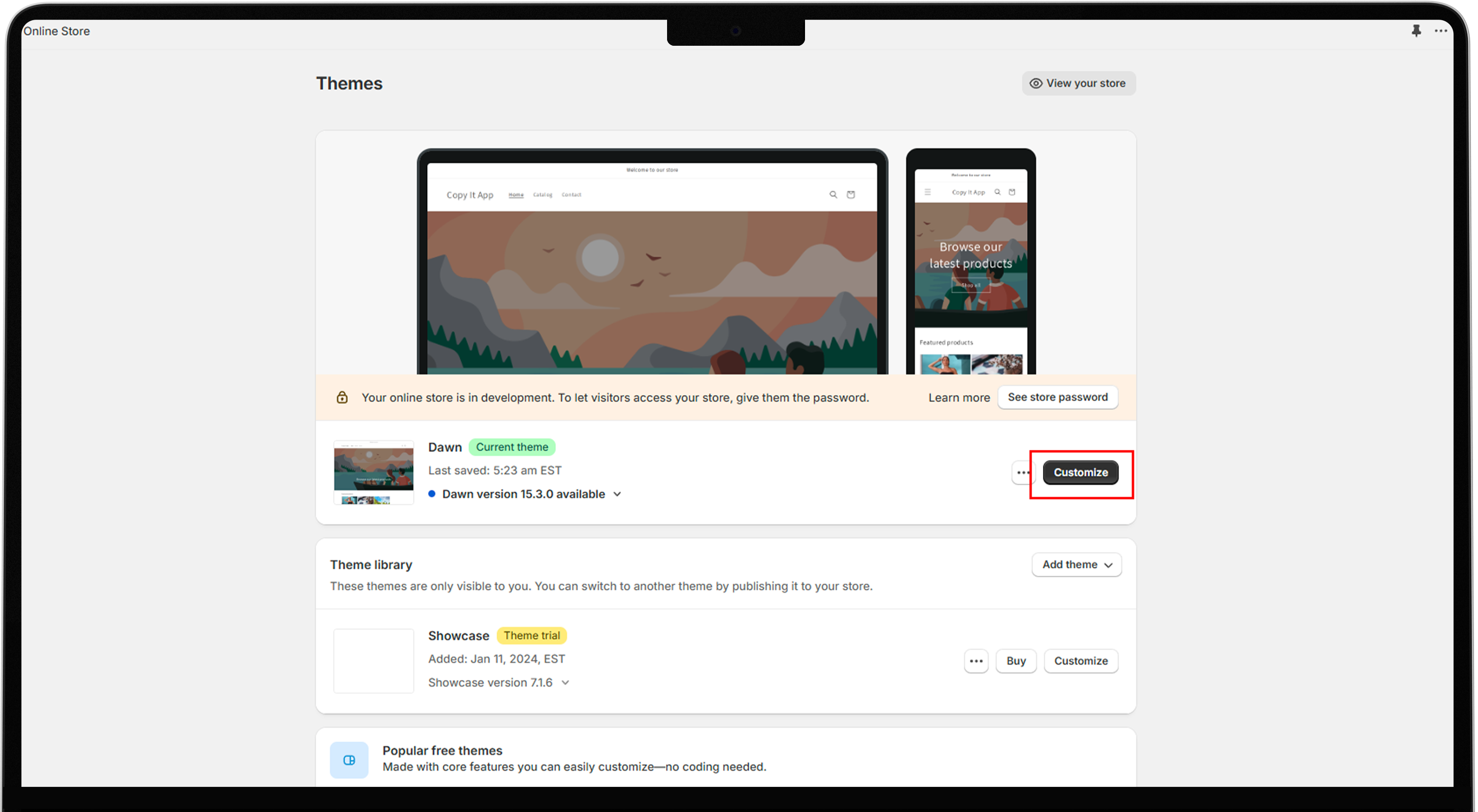 Shopify Theme Customization